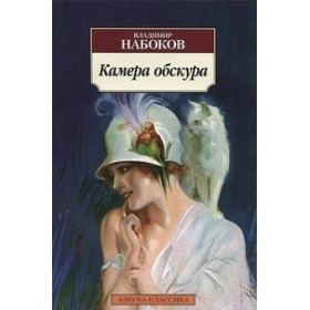Камера обскура