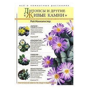 Литопсы и другие "живые камни"