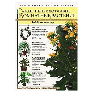 Самые неприхотливые комнатные растения