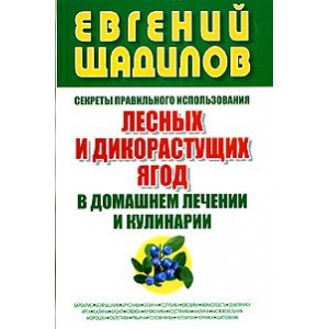 Секреты правильного использования лесных и дикорастущих ягод в домашнем лечении