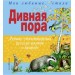 Дивная пора. Лучшие стихотворения русских поэтов о природе