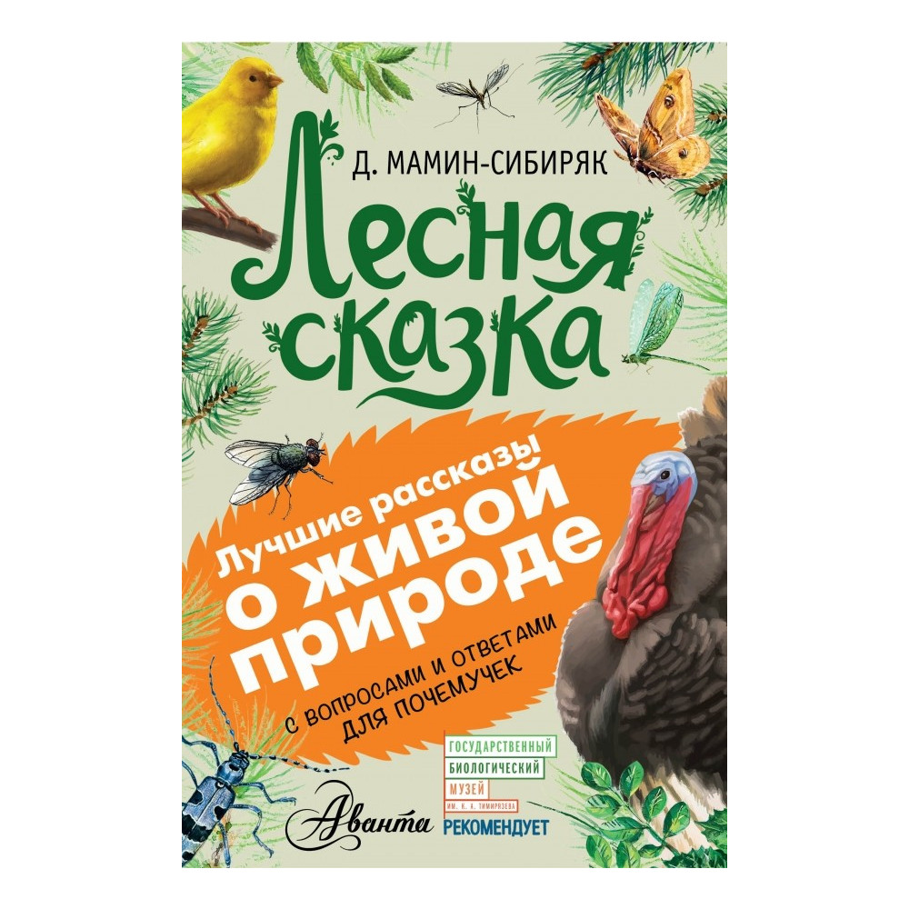 Лесная сказка
