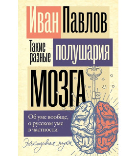 Такие разные полушария мозга. Об уме вообще, о русском уме в частности