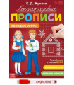 Многоразовые прописи Обводим узоры, с маркером