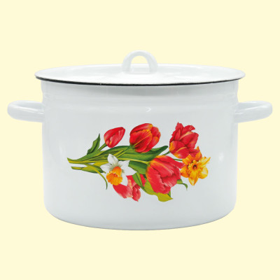 Кастрюля эмалированная с крышкой Тюльпаны 5,5 л