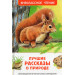 Лучшие рассказы о природе