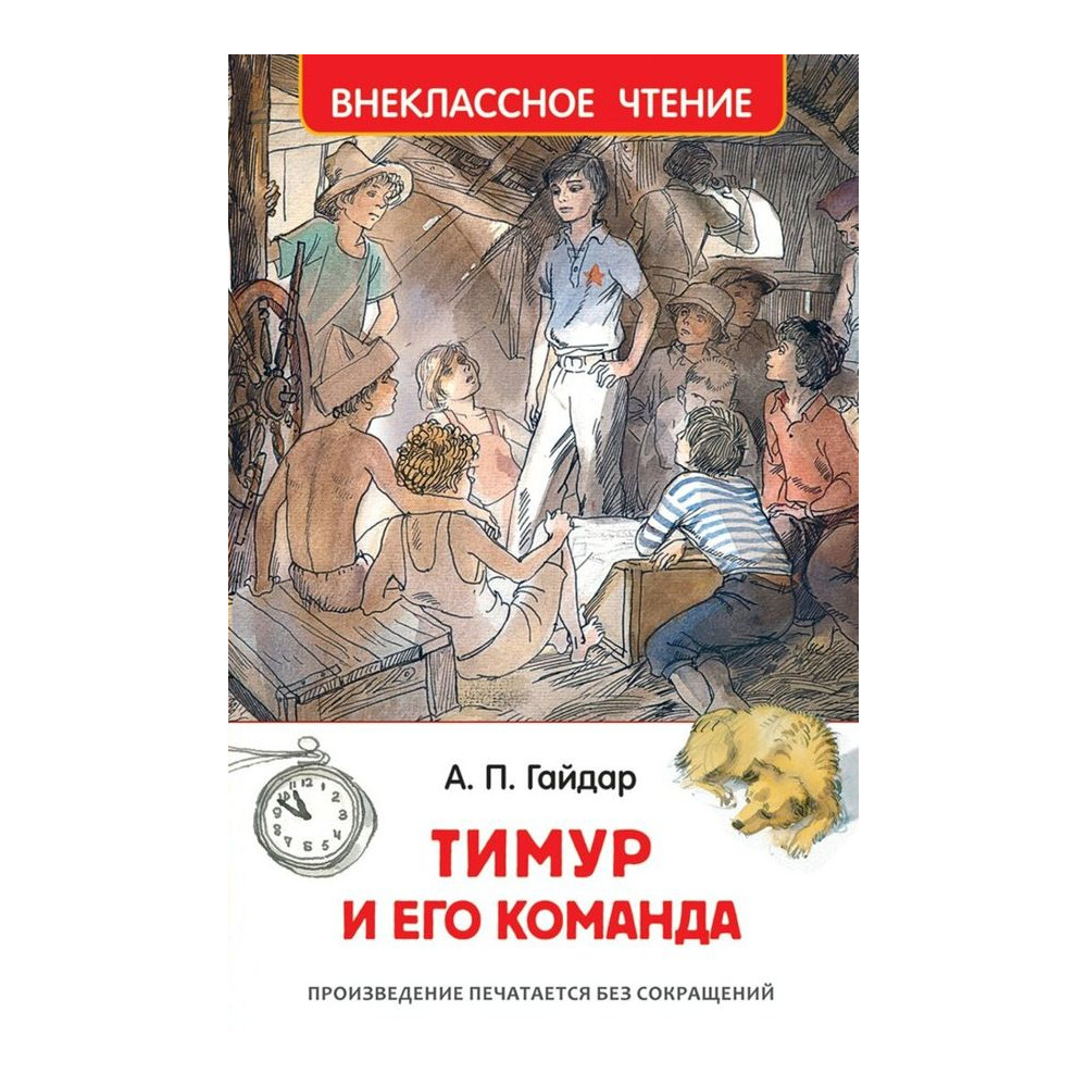 Тимур и его команда